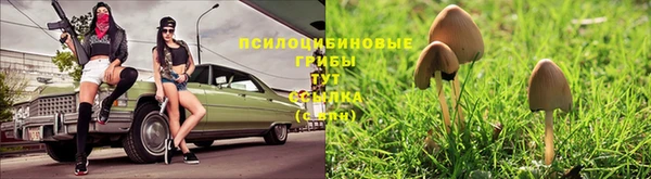 каннабис Майский