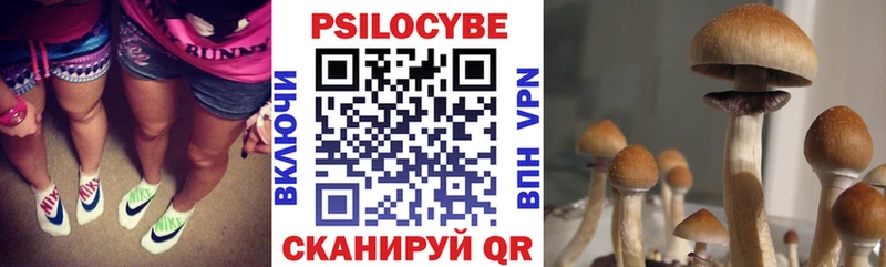 Галлюциногенные грибы Cubensis Оса